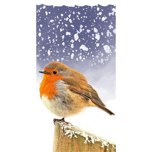 Readerly Winter Red Robin Magnetic Bookmark