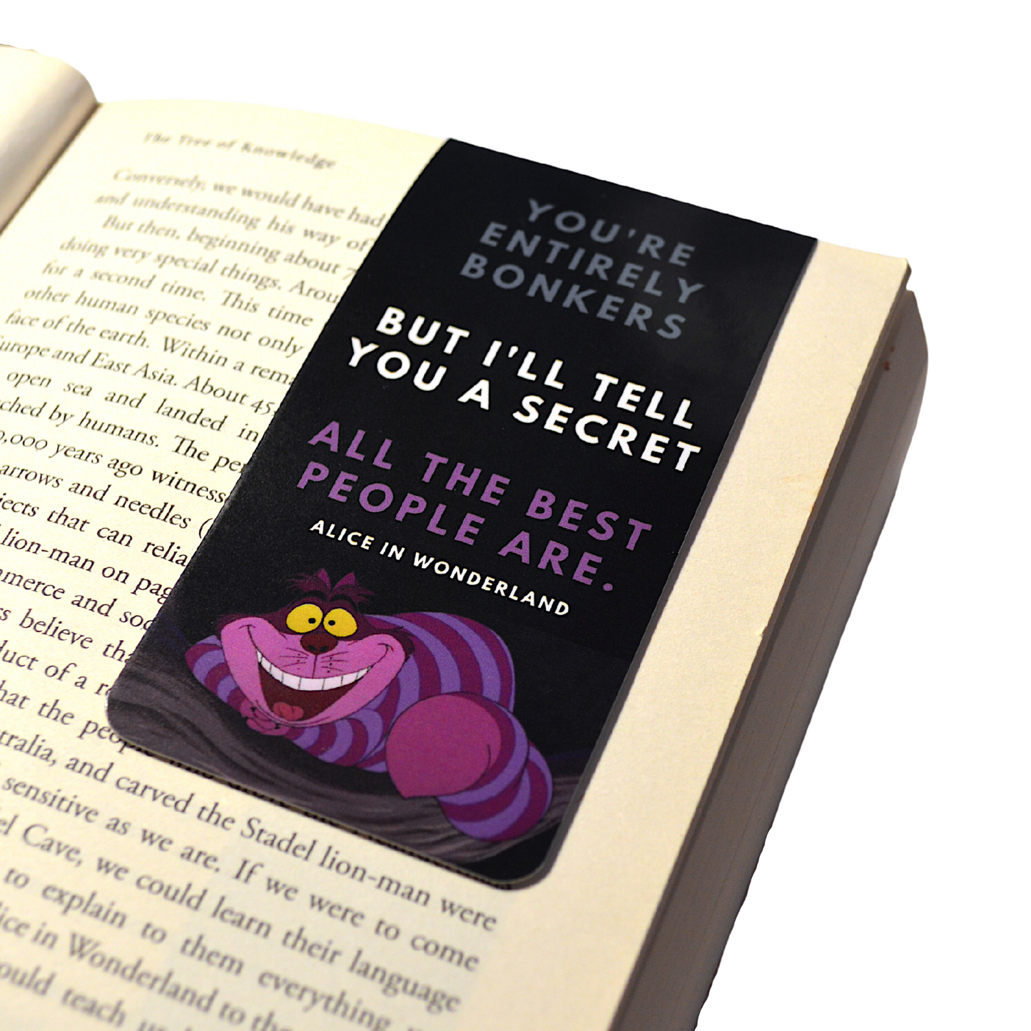 Readerly Magnetic Bookmark Alice in Wonderland 'You're Entirely Bonkers'