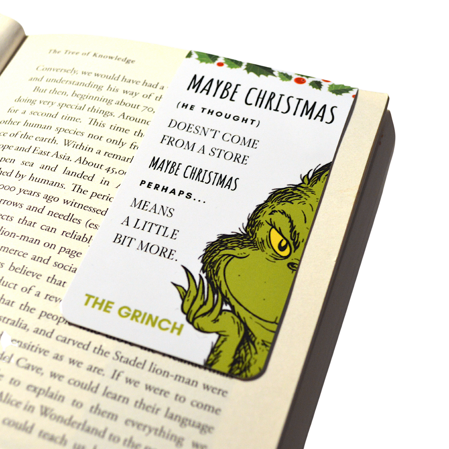 Readerly Magnetic Bookmark - Christmas Stocking Filler Grinch 'Maybe Christmas'