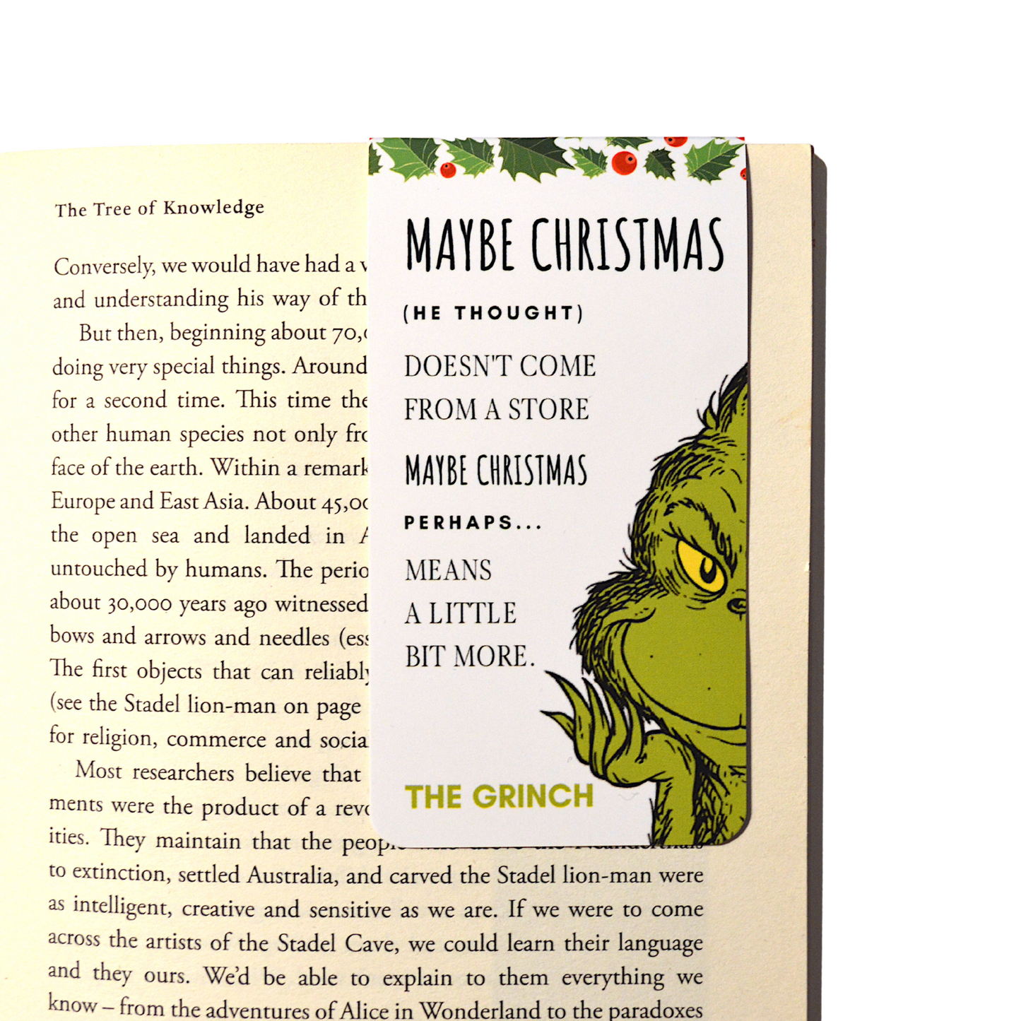 Readerly Magnetic Bookmark - Christmas Stocking Filler Grinch 'Maybe Christmas'