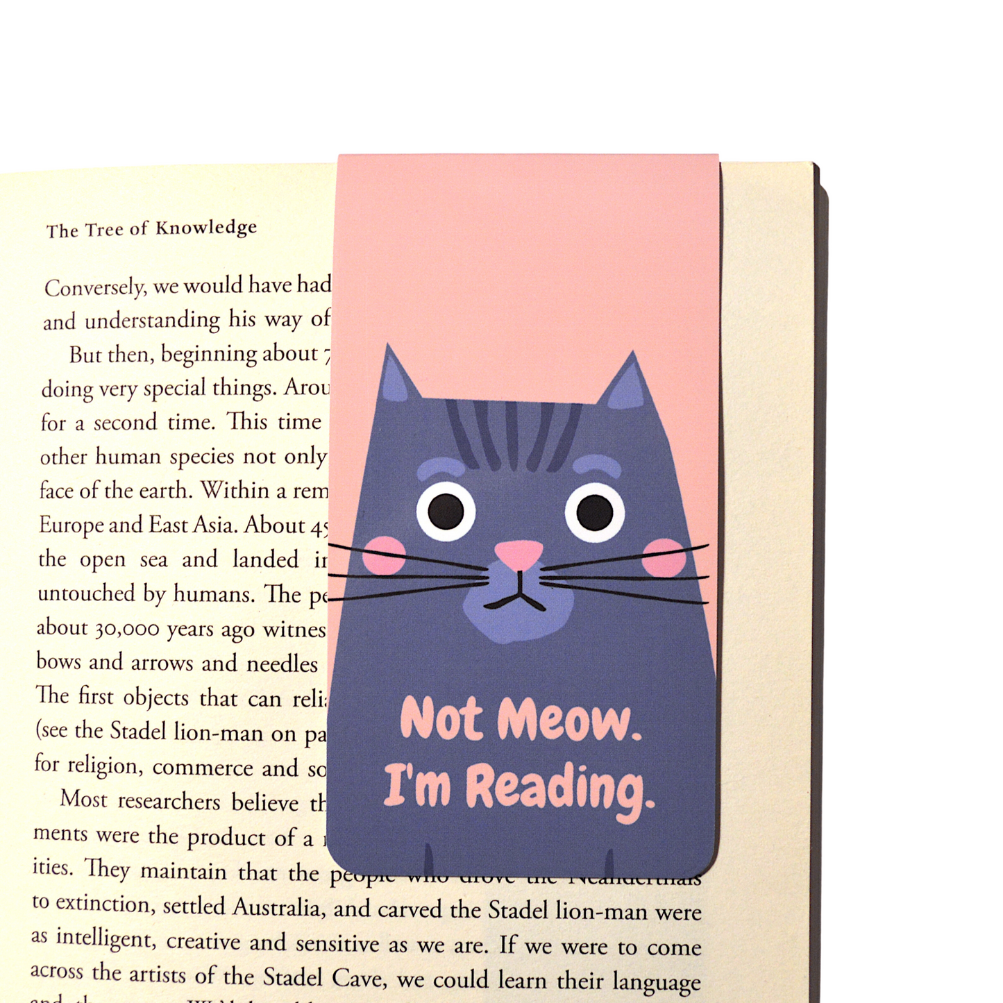 Readerly Magnetic Bookmark 'Not Meow I'm Reading'