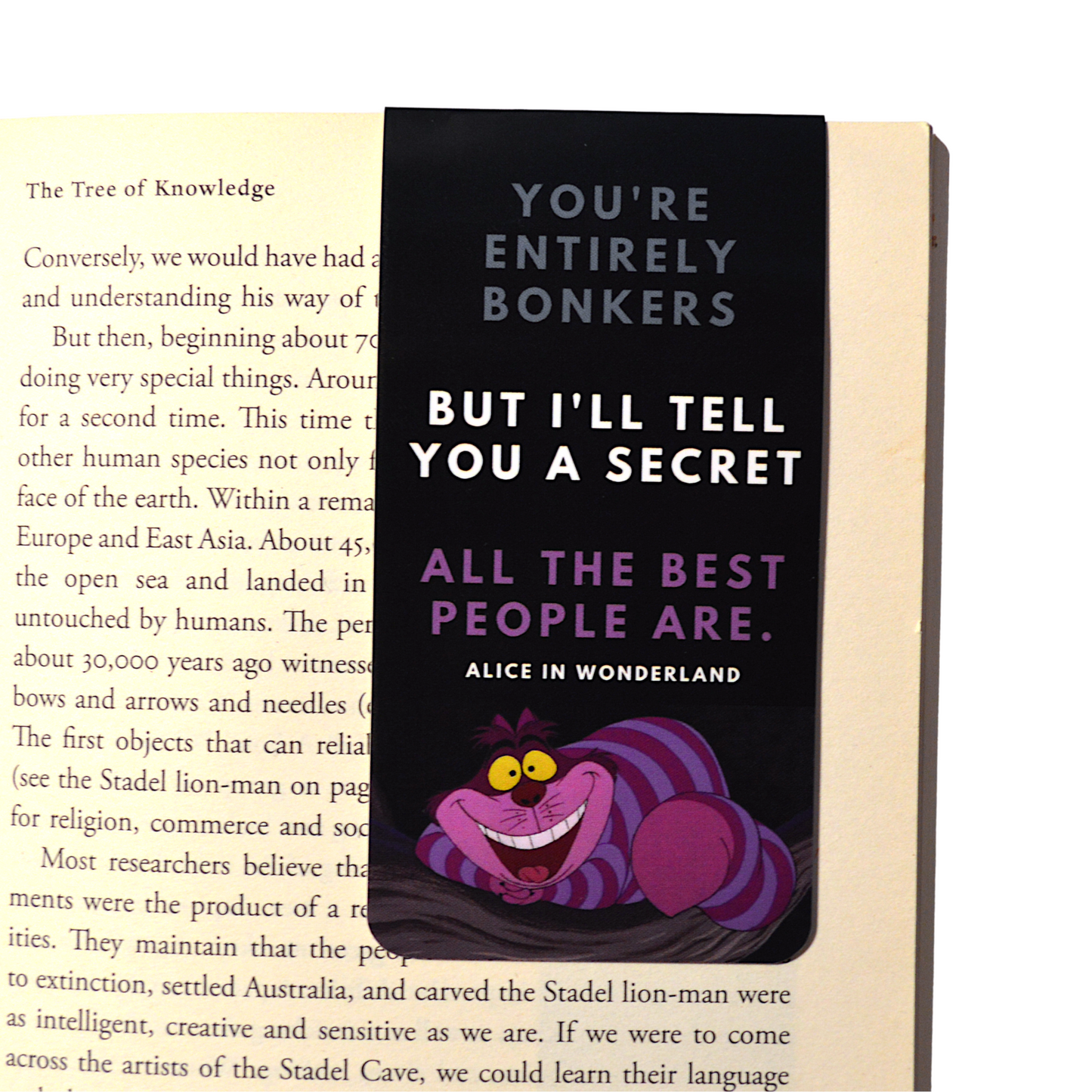 Readerly Magnetic Bookmark Alice in Wonderland 'You're Entirely Bonkers'