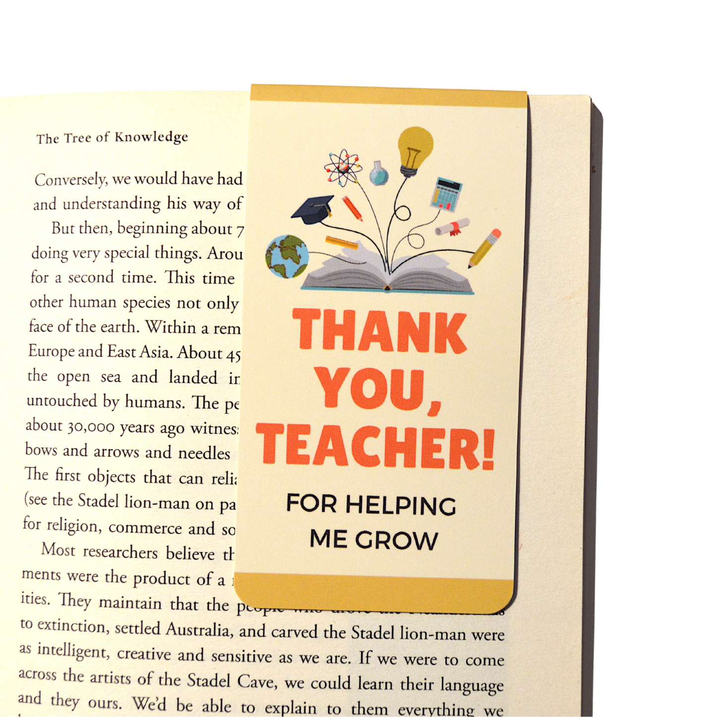 Readerly Magnetic Bookmark 'Thank You Teacher' Gift